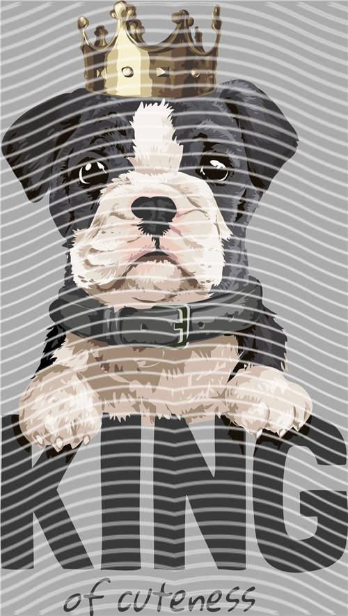 Street design-JT 4815